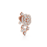 Rosette Constellation