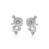 Rosette Constellation