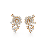 Rosette Constellation