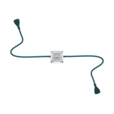 Radiant Flame Rakhi