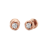 Delicate Swirl Earrings