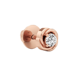 Delicate Swirl Earrings