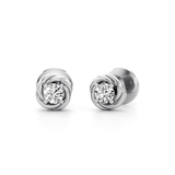 Delicate Swirl Earrings