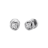 Delicate Swirl Earrings