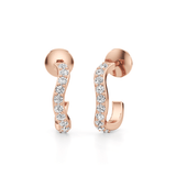 Breaking Eave Earrings