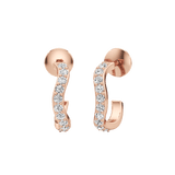 Breaking Eave Earrings
